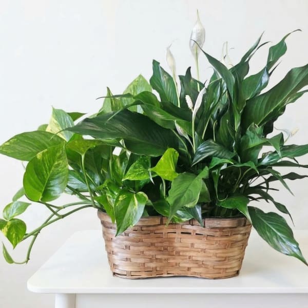 Heritage Hearth Basket