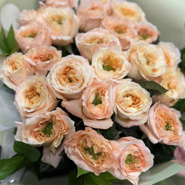 25 melon expression garden rose bouquet