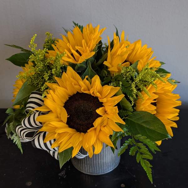 Short arrangement of yellow sunflowers in a metal pot with a black and white striped ribbon.