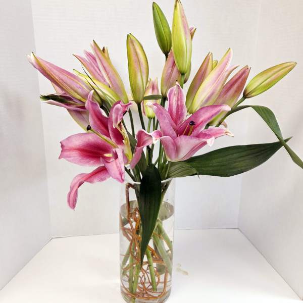 Pink and green lilies arranged in a clear glass vase