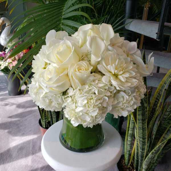 White roses and hydrangeas arranged in a glass vase