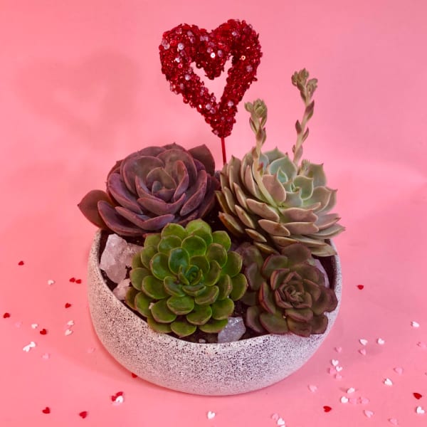 Succulent arrangement in a speckled bowl with a red heart topper