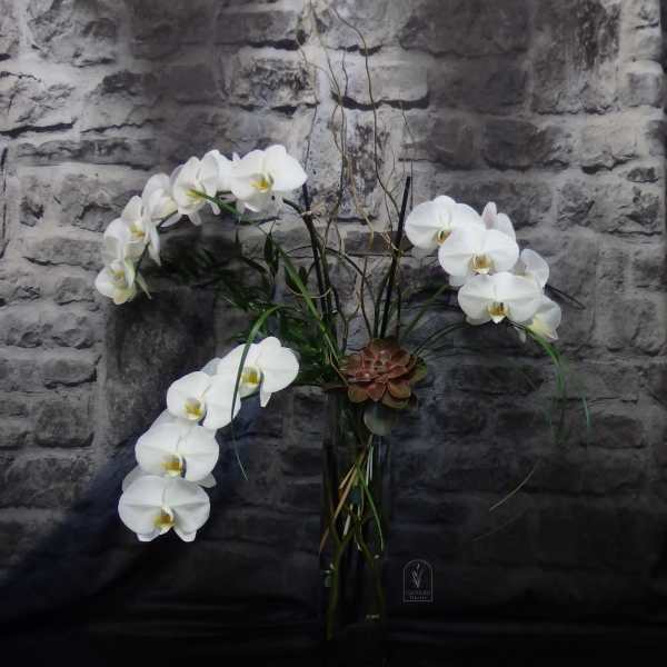 White orchids arranged in a tall glass vase with curly branches