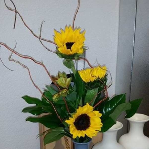 Sunflowers arranged in a blue vase with curly branches