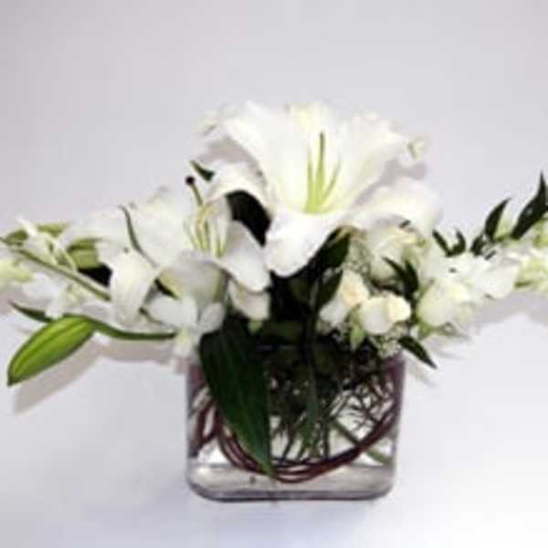White lilies arranged in a clear square vase
