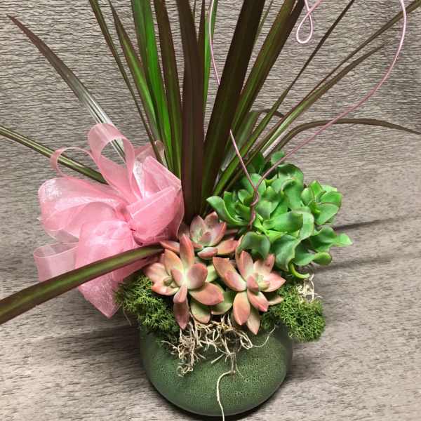 Succulent Heart Planter