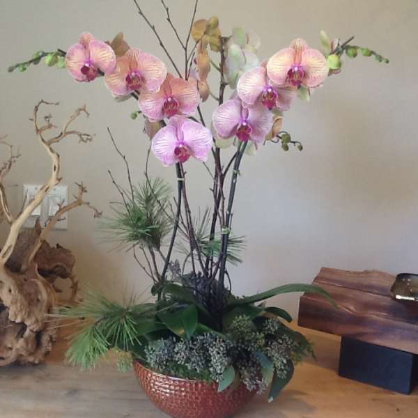 Pink orchid arrangement in a textured bowl with decorative branches