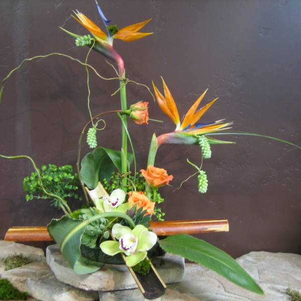 Tropical floral arrangement with bird-of-paradise and orchids in a low container