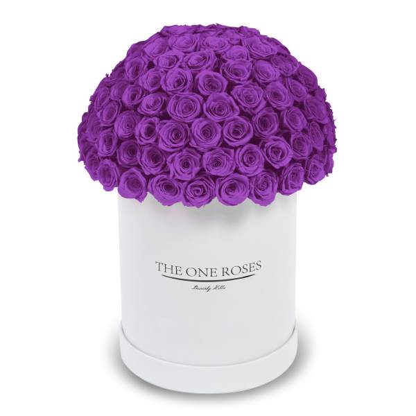 Purple roses arranged in a white round box