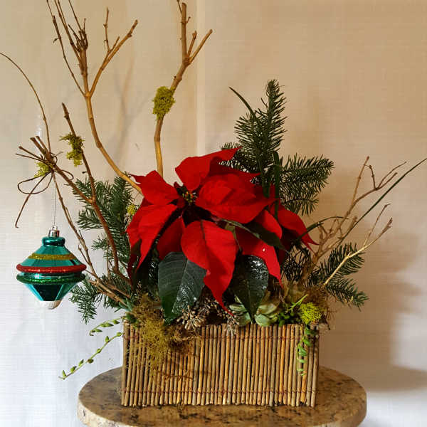 Poinsettia arrangement in a wicker basket with a hanging ornament