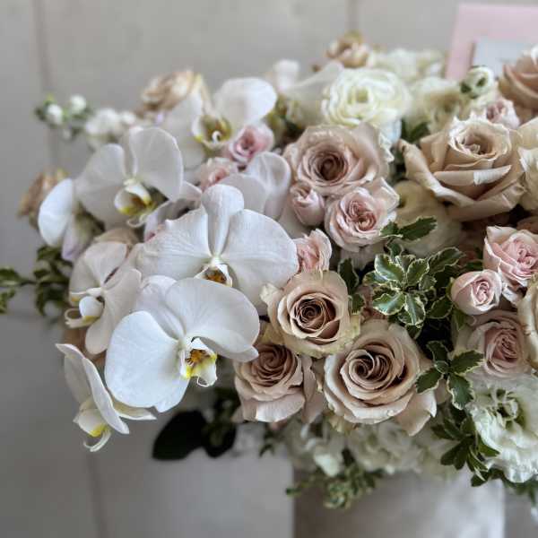 Château box with orchids