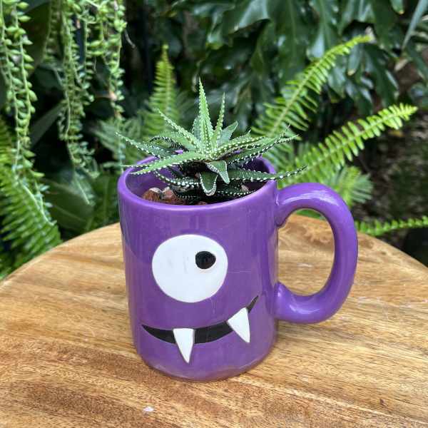 Small succulent in a purple monster-face mug planter
