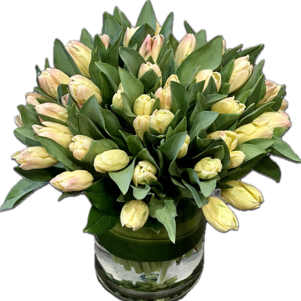 Bouquet of pale yellow tulips in a glass vase
