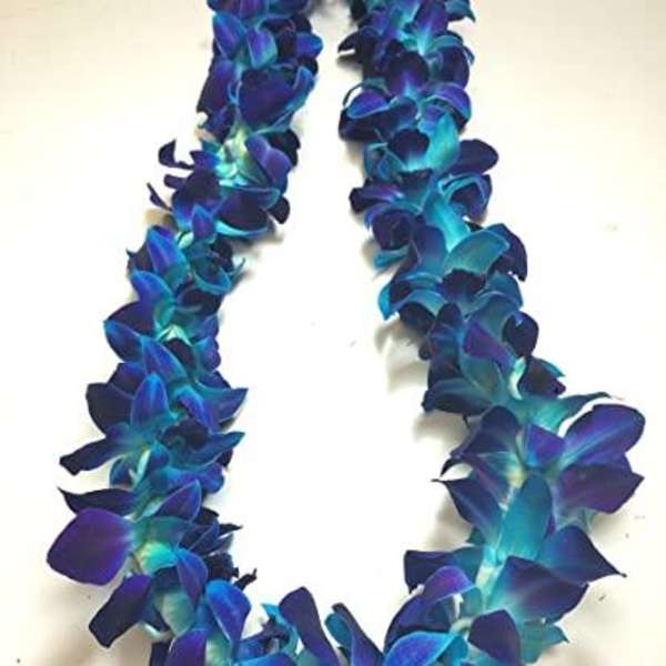 Blue and teal dendrobium orchid lei arranged in a loose oval on a white surface