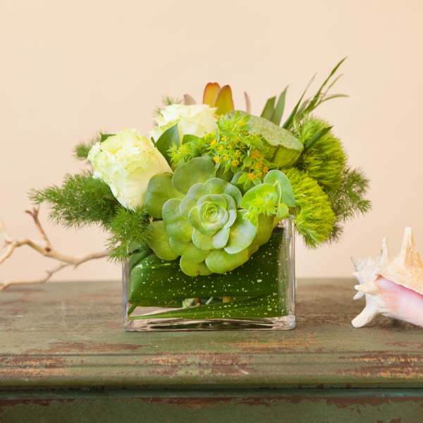 Green succulent arrangement in a square glass vase with white blooms