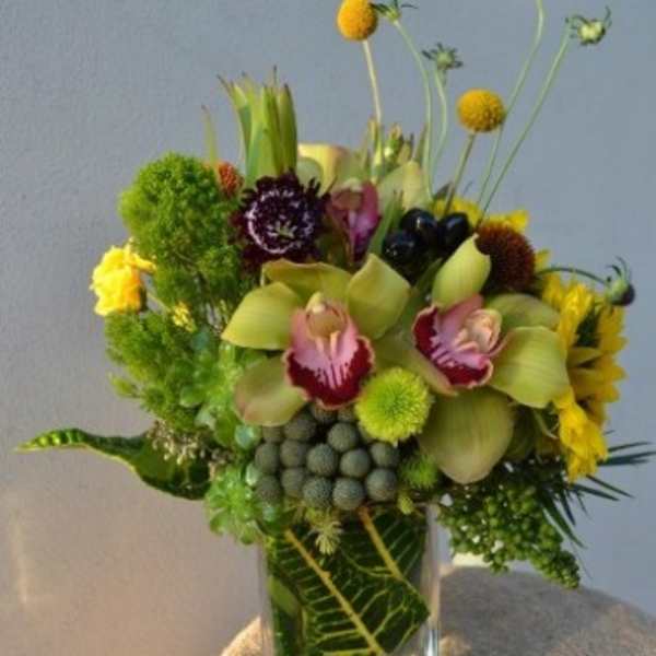 Mixed floral arrangement in a clear square vase with tall stems and round blooms