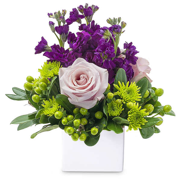 Compact arrangement of purple stock, pale pink roses, and green mums in a white cube vase
