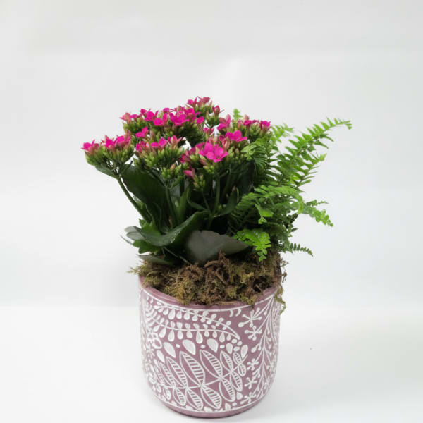 Chic Blooming Garden