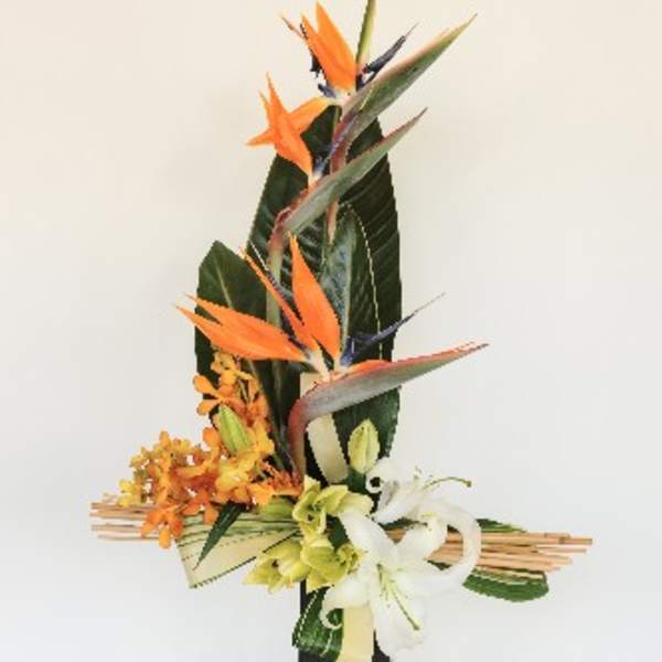 Tall tropical floral arrangement with orange bird-of-paradise and white lilies in a black vase