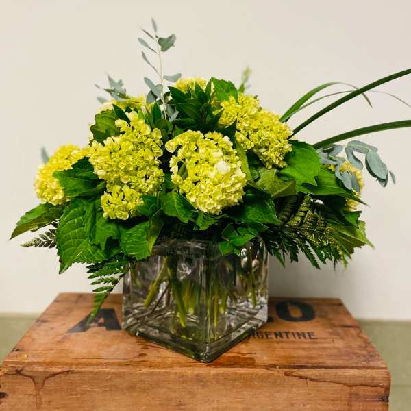 Yellow hydrangea arrangement in a square glass vase