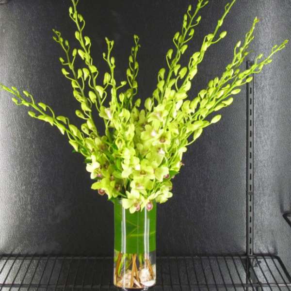 Tall green orchid arrangement in a clear glass vase
