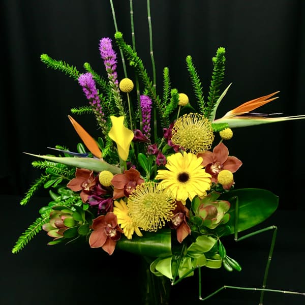 Biggie Bright Exotic