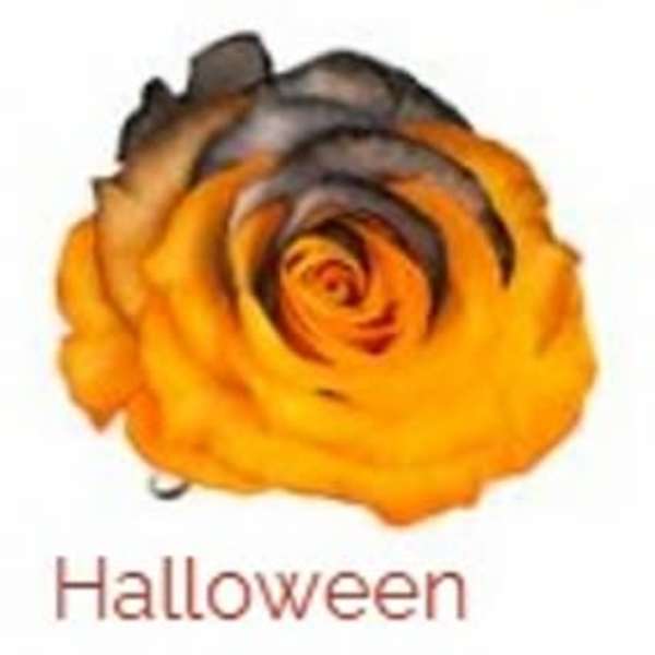 Orange and black rose with Halloween text below