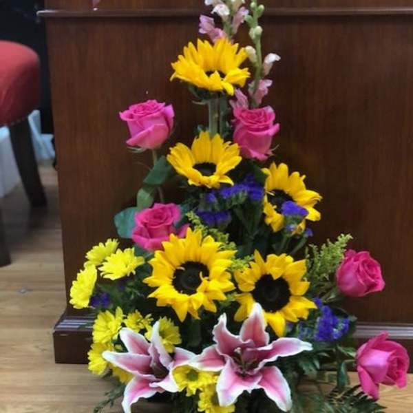 Bright and Snazzy Design