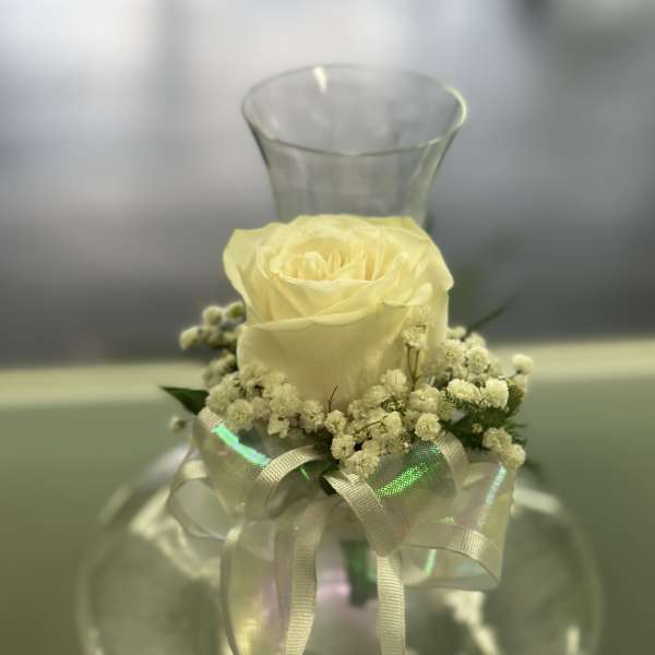 Single pale yellow rose in a clear glass vase with a ribbon bow