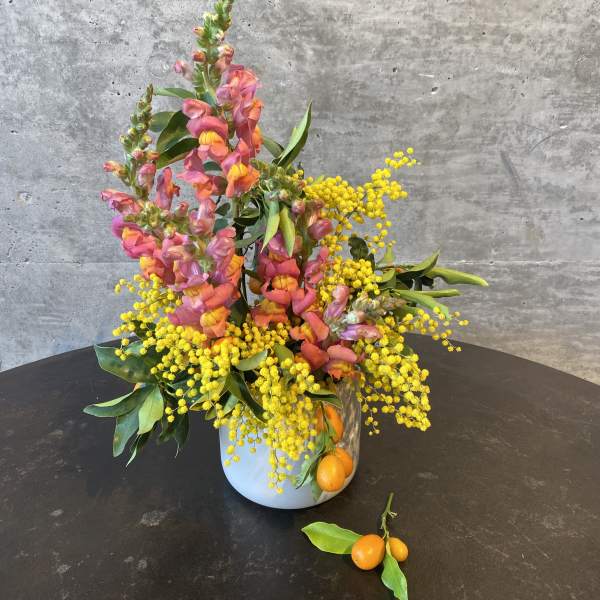 Pink snapdragons and yellow mimosa in a white vase with small oranges