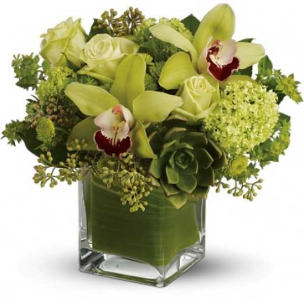 Green floral arrangement with orchids, roses, and hydrangea in a glass cube vase