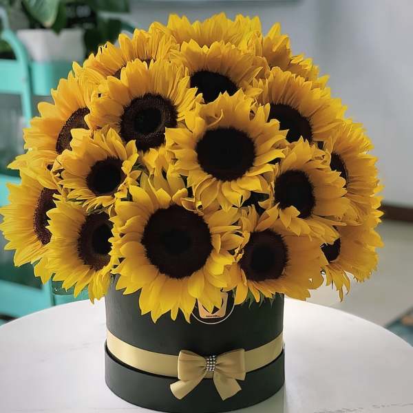 Bouquet of yellow sunflowers in a black round box with a gold ribbon
