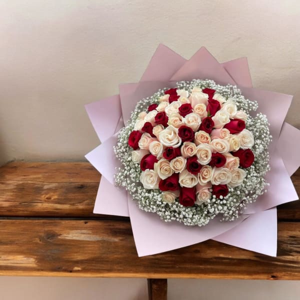 Bouquet of red and white roses wrapped in pale pink paper