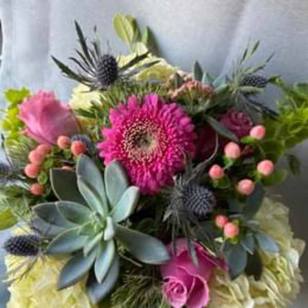 Bouquet of pink gerbera daisies and roses with blue thistle-like blooms