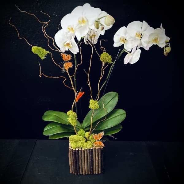 White orchids in a bamboo container with curly branches and butterfly accents