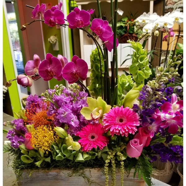 Exotic Orchid Garden