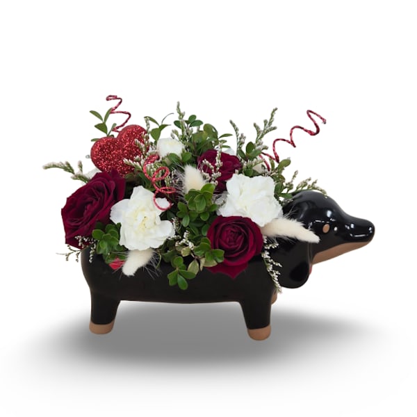 Red and white roses arranged in a black dachshund planter
