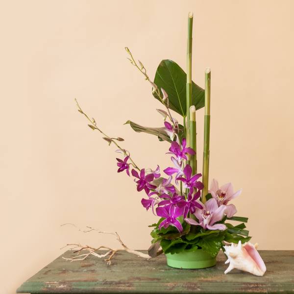 Purple orchids in a green container with tall bamboo stems and a shell accent