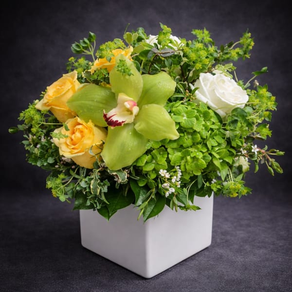 Yellow and white roses with green orchids in a white square vase