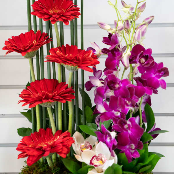 Red gerberas and purple orchids in a rectangular gift box