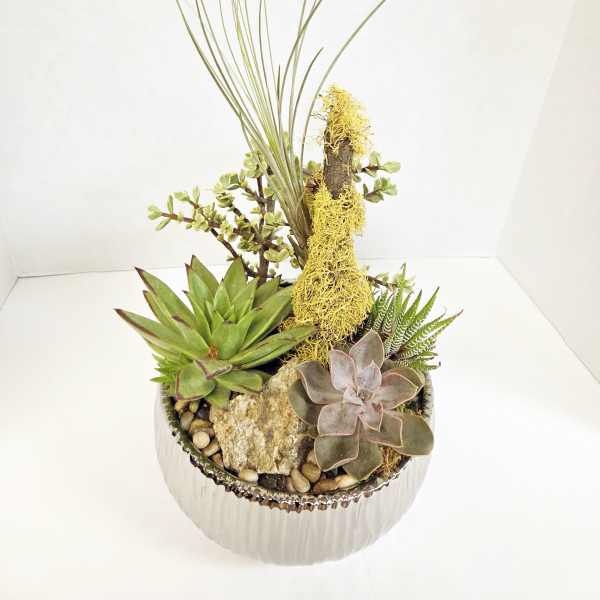 Succulent arrangement in a ribbed silver bowl with tall grass-like stems
