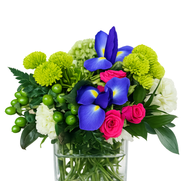 Low arrangement of blue irises, hot pink roses, green button mums and white flowers in a clear glass cube vase