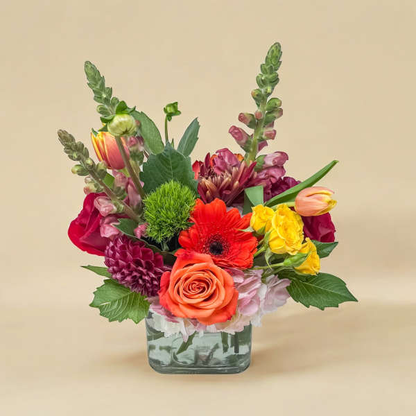 Mixed bouquet in a square glass vase with roses, gerbera daisies, and tulips