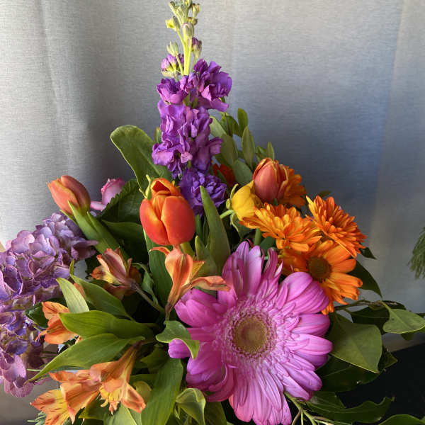 Colorful bouquet with tulips, gerbera daisies, hydrangeas, and purple stock