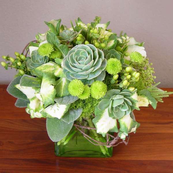 Green succulent arrangement in a square glass vase