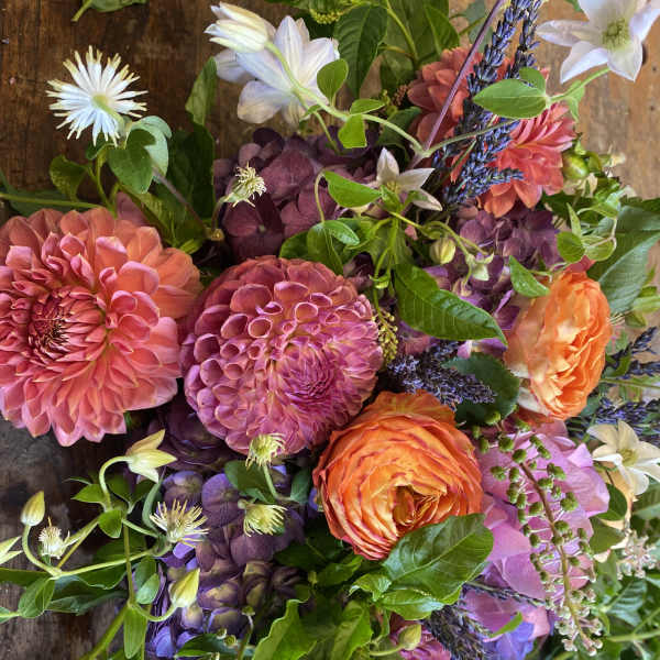 Bouquet of pink, orange, and purple flowers with white blooms