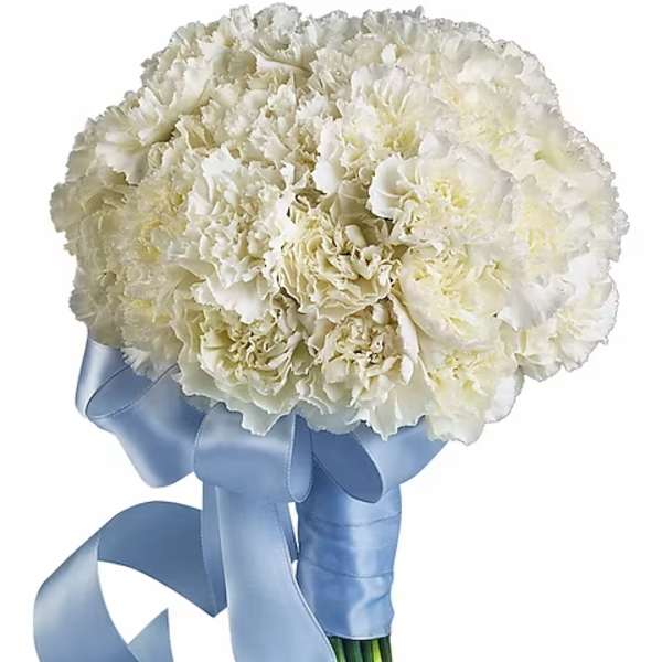 White carnation bouquet tied with a blue ribbon