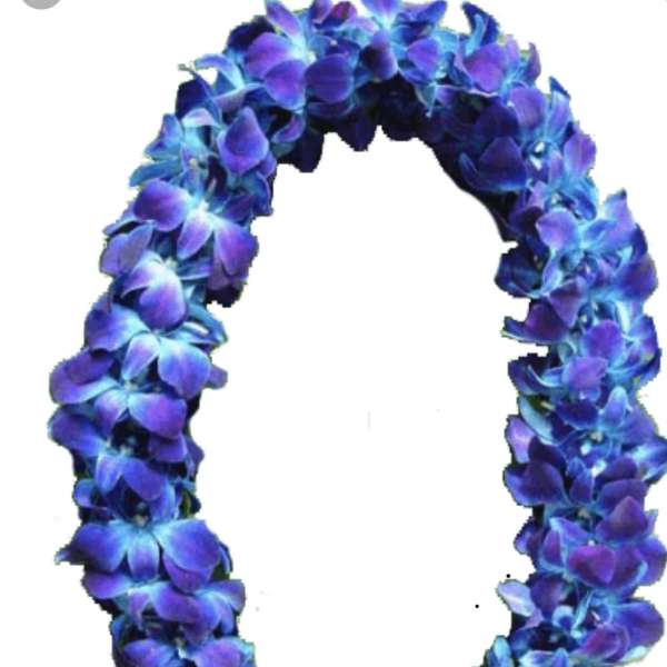 Blue and purple floral lei on a white background