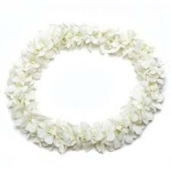 WHITE Carnation Lei