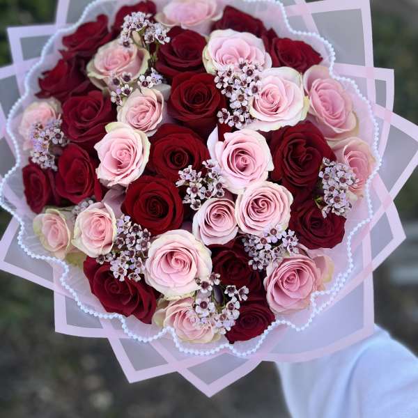 Round hand-tied bouquet of red and light pink roses with tiny white filler flowers in pink decorative wrap